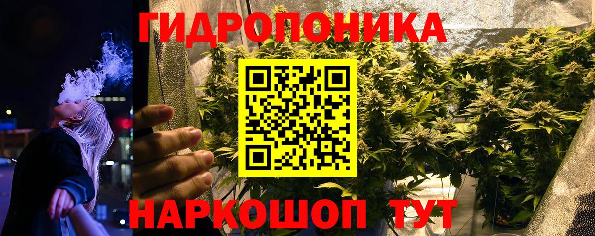 Конопля Amnesia  Каннабис Amnesia  Вход с VPN  Рубцовск 